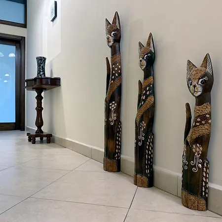 Seashell Stories - Modern Comforts, Traditional Charm